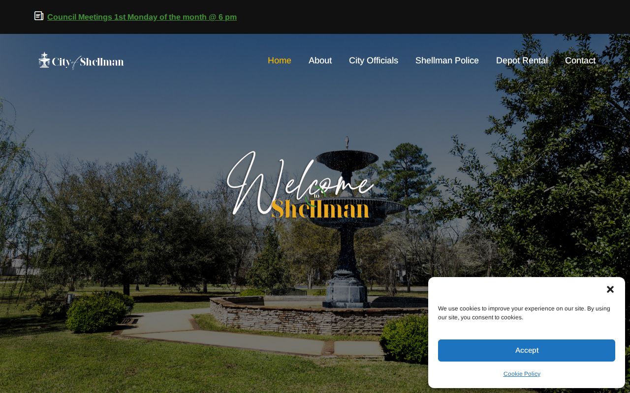 Shellman court records official city ticket link
